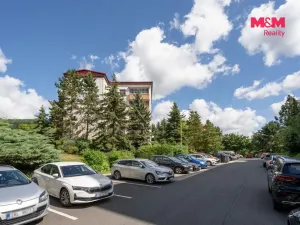 Prodej bytu 1+kk, Chlumec, Zalužanská, 34 m2