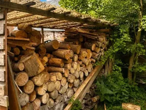 Prodej chaty, Pšov, 50 m2