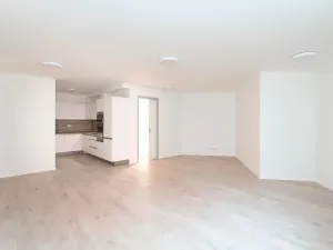 Pronájem bytu 2+kk, Praha - Nusle, V Horkách, 81 m2