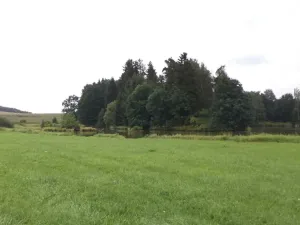 Dražba pozemku, Kocelovice, 5241 m2
