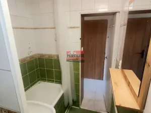 Pronájem bytu 1+1, České Budějovice, Mánesova, 37 m2