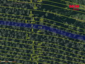 Prodej lesa, Břežany, 4230 m2