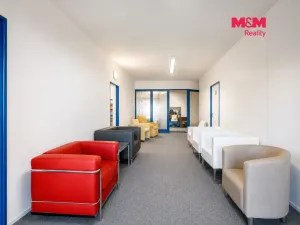 Prodej obchodního prostoru, Letohrad, Petříkov, 1200 m2