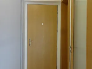 Pronájem bytu 2+kk, Praha - Podolí, Nedvědovo náměstí, 51 m2