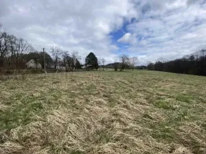 Dražba louky, Jablonné v Podještědí, 692 m2