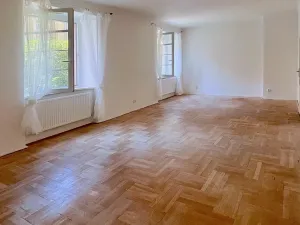 Pronájem bytu 1+1, Brno, Gorkého, 45 m2