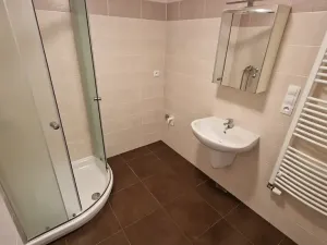 Pronájem bytu 1+kk, Plzeň, Sladová, 42 m2