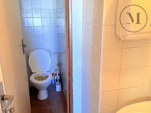 Pronájem kanceláře, Netolice, Mírové Náměstí, 19 m2