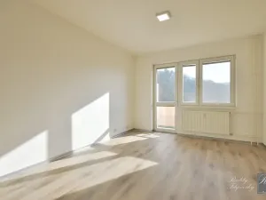 Pronájem bytu 1+kk, Ústí nad Labem, Baráčnická, 30 m2