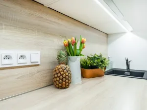 Pronájem bytu 2+kk, Albrechtice nad Orlicí, 1. máje, 32 m2