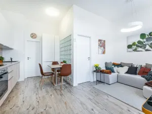 Pronájem bytu 2+kk, Albrechtice nad Orlicí, 1. máje, 32 m2