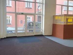 Pronájem obchodního prostoru, Kutná Hora, Vocelova, 270 m2