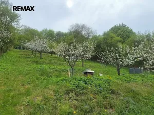 Prodej rodinného domu, Březová nad Svitavou, Zářečí, 100 m2