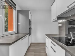Prodej bytu 2+1, Ústí nad Labem - Severní Terasa, Kmochova, 61 m2