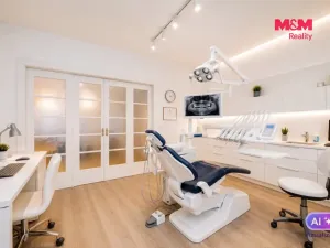 Prodej rodinného domu, Přerov - Přerov I-Město, Nerudova, 294 m2