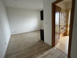 Pronájem bytu 1+kk, Ostrava, Nejedlého, 25 m2