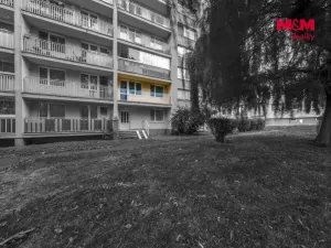 Prodej bytu 2+kk, Havířov - Podlesí, 17. listopadu, 40 m2