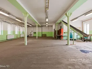 Pronájem skladu, Děčín, Rudolfova, 47 m2