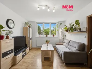 Prodej bytu 3+1, Kněževes, Štrosova, 63 m2
