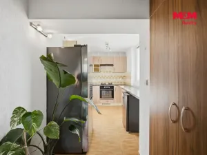 Prodej bytu 3+1, Kněževes, Štrosova, 63 m2