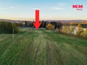 Prodej komerčního pozemku, Nepomuk - Dvorec, 9719 m2