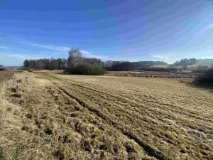 Dražba louky, Kváskovice, 10470 m2