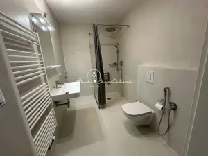Pronájem bytu 2+kk, České Budějovice, Lipenská, 45 m2