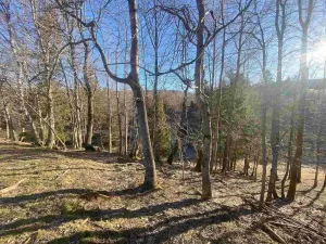 Prodej pole, Železná Ruda - Špičák, 1644 m2
