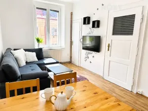 Pronájem bytu 2+kk, Plzeň, Čechova, 48 m2