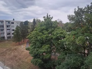 Prodej bytu 2+kk, Plzeň, Polední, 37 m2