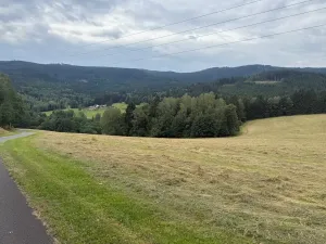 Prodej louky, Hamry, 84928 m2
