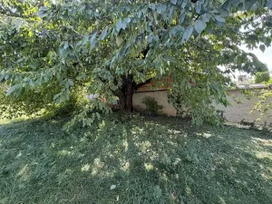 Prodej pozemku pro bydlení, Klenovice na Hané, 835 m2