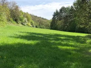 Prodej podílu louky, Praha - Nebušice, U Gabrielky, 24023 m2