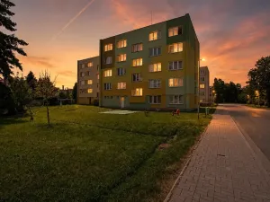 Prodej bytu 3+1, Netolice, 9. května, 63 m2
