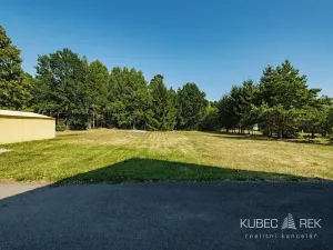 Prodej pozemku pro bydlení, Opařany, 2310 m2