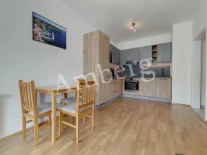 Pronájem bytu 1+kk, Praha - Karlín, Breitfeldova, 38 m2