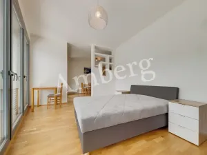 Pronájem bytu 1+kk, Praha - Karlín, Breitfeldova, 38 m2