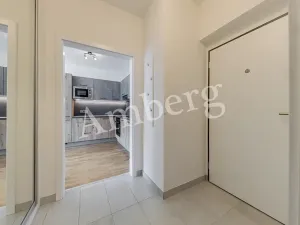 Pronájem bytu 1+kk, Praha - Karlín, Breitfeldova, 38 m2