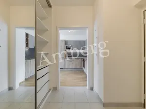 Pronájem bytu 1+kk, Praha - Karlín, Breitfeldova, 38 m2