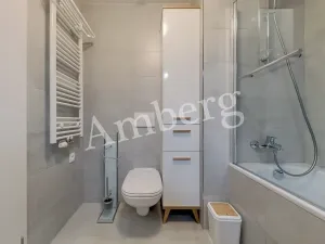 Pronájem bytu 1+kk, Praha - Karlín, Breitfeldova, 38 m2