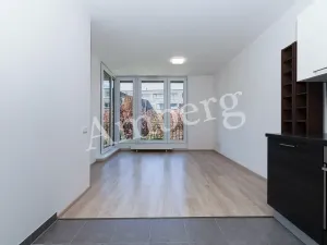 Prodej bytu 2+kk, Praha - Žižkov, Na Vackově, 53 m2