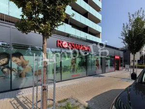 Prodej bytu 2+kk, Praha - Žižkov, Na Vackově, 53 m2