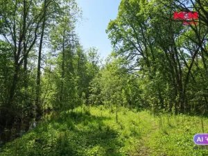 Prodej lesa, Snědovice - Střížovice, 2037 m2