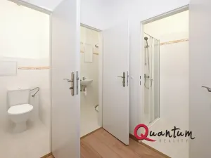 Pronájem bytu 5+kk, Praha - Vršovice, Mexická, 139 m2