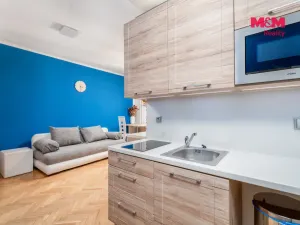 Prodej bytu 1+kk, Ústí nad Labem - Bukov, Školní, 19 m2