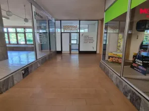 Pronájem kanceláře, Orlová - Lutyně, F. S. Tůmy, 21 m2