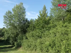 Prodej lesa, Chyňava - Lhotka u Berouna, 7138 m2