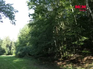 Prodej lesa, Chyňava - Lhotka u Berouna, 7138 m2