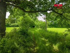 Prodej rodinného domu, Ostrava - Polanka nad Odrou, Hraničky, 300 m2