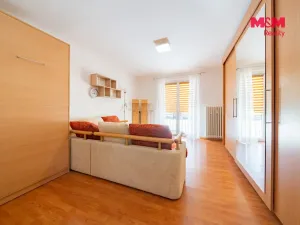 Pronájem bytu 1+1, Horní Slavkov, Dlouhá, 36 m2